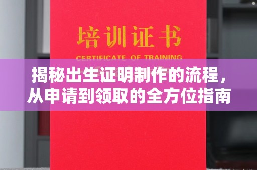 英吉沙揭秘出生证明制作的流程，从申请到领取的全方位指南