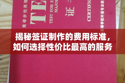 英吉沙揭秘签证制作的费用标准，如何选择性价比最高的服务？